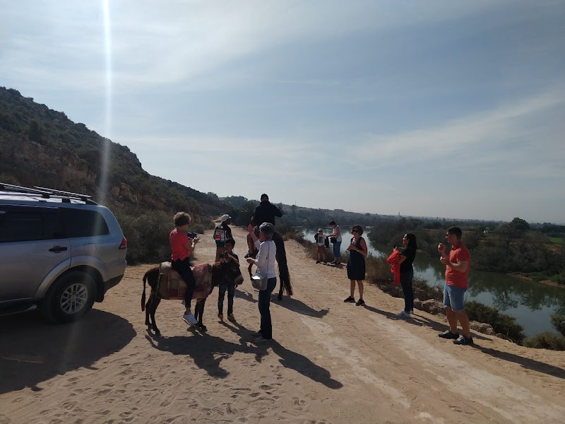 Agadir Explorer Tours | Top-Rated Agadir Excursions & Day Trips