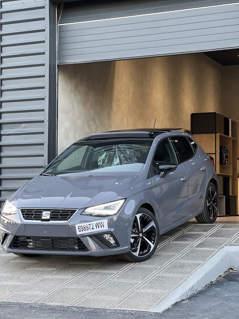 D3 Car