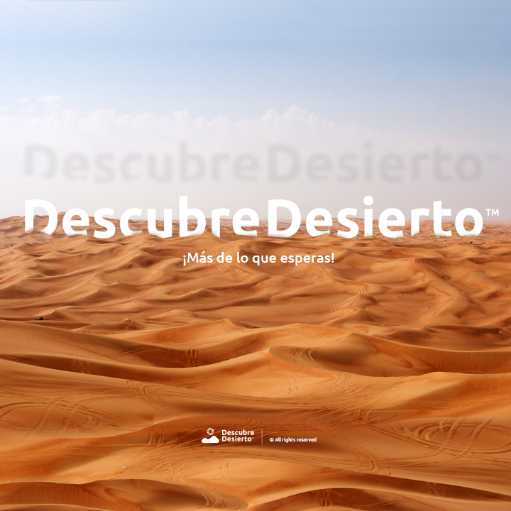 Descubre Desierto