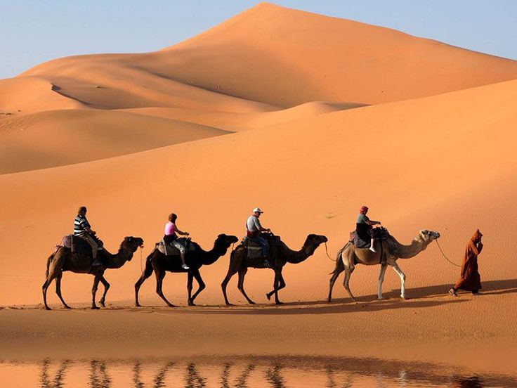 Taxi Essaouira Marrakech : Tours & Transfers