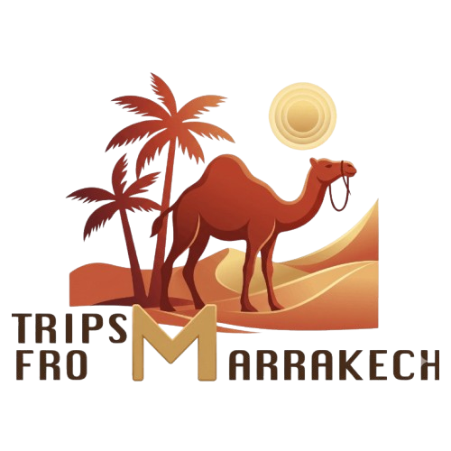Logo de Taxi Essaouira Marrakech : Tours & Transfers