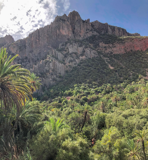 AZUL EXCURSIONS /Explore Agadir and Taghazout by Hiking & Horse riding