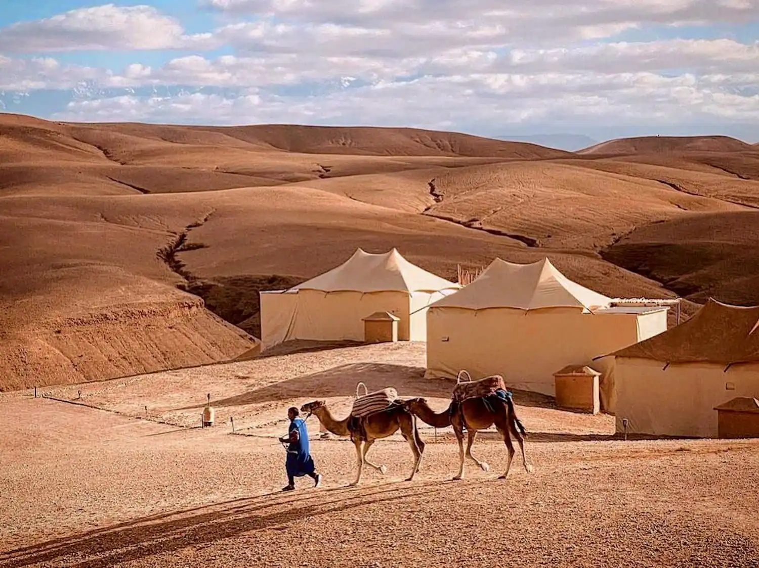 88 CONNECT | Marrakech Tours, Activities, Day trips, Agafay Desert & Private Transport