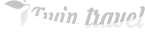 Twin Travel logo