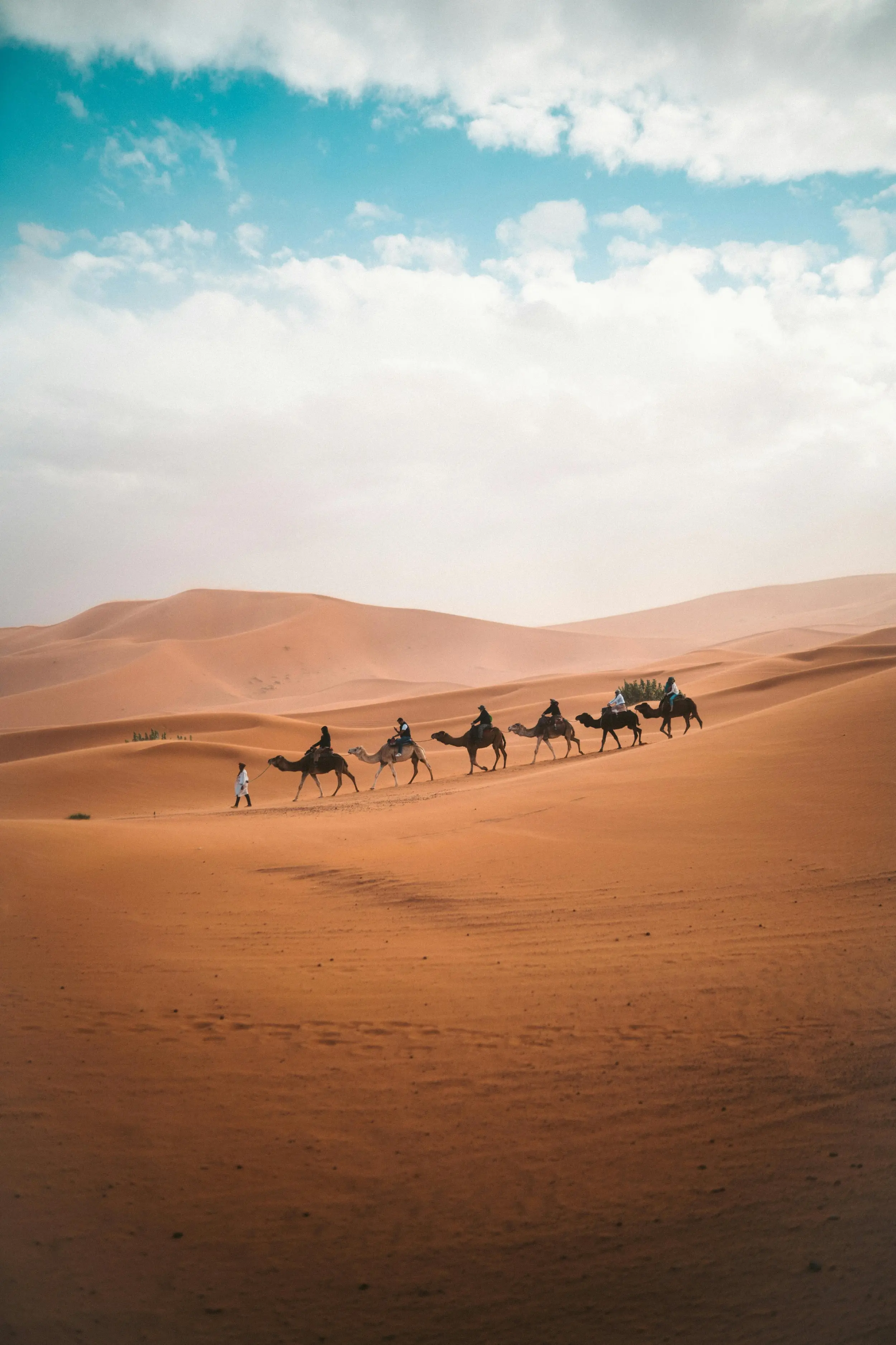 Desert Dream