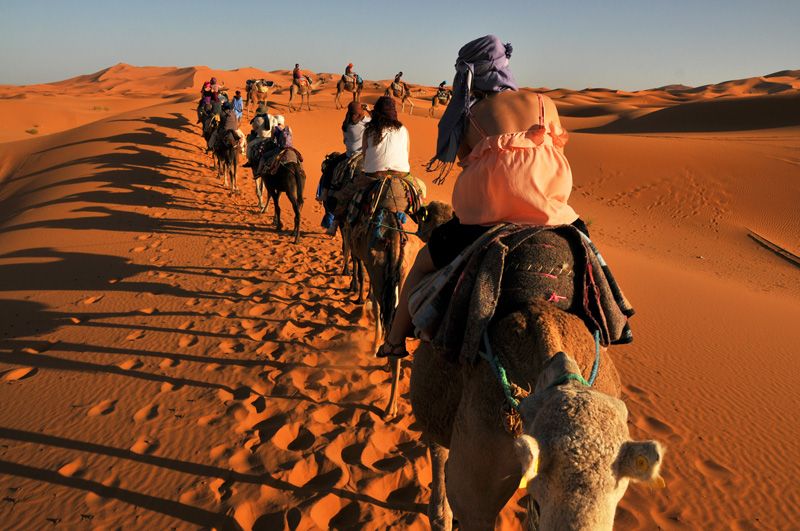 Sahara Trips Company