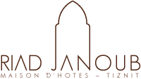 RIAD JANOUB TIZNIT logo